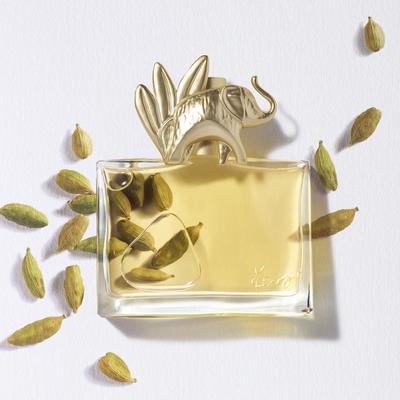 Profumeria – Profumi