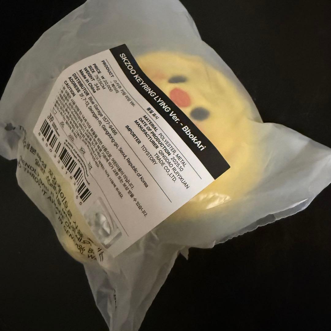 [USED] Pogari Stray Kids Celebrate Lying Keyring