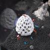 Aquarium Fish Hideout Suction Cup Cave Shelter House for Small Fish and Shrimp Habitats Decoration Fishtanks Accessory
