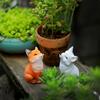 Nine-Tailed Fox Succulent Decoration with Monkey Tail Cactus in Balcony Flower Pot