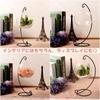 Lunari Hanging Stand, Interior Hanging Hook Stand, Display Stand, Black, Aquarium/Terrarium Hanger
