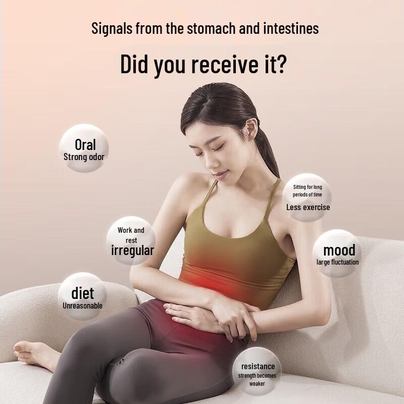 Chigo ZG-AM16 Waist Massager with Heat and Kneading