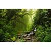 3d Modern Forest Wallpaper Natural Scenery Wall Mural Bedroom Living Room Home Decor Wallpaper