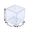 Mini Transparent Larval Spider Breeding Small Box Size Square