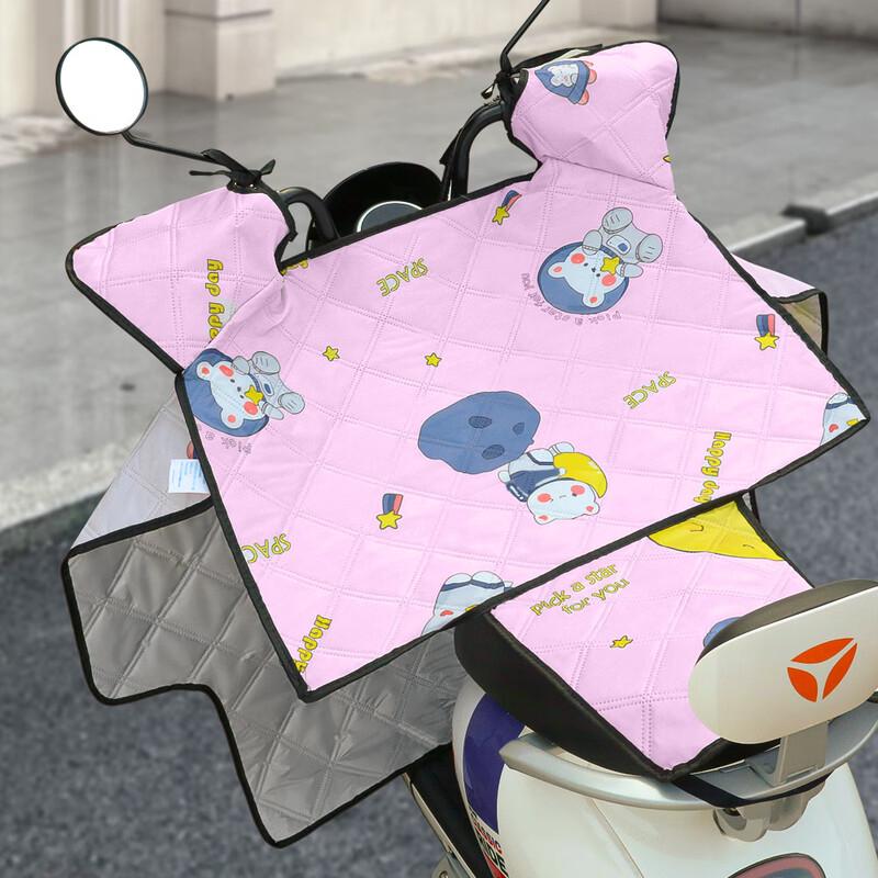 DUTRIEUX Electric Motorcycle Wind Deflector