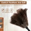 Extendable Ostrich Feather Duster With Stainless Steel Long Handle Brush Household Furniturer Dust Cleaning Tools