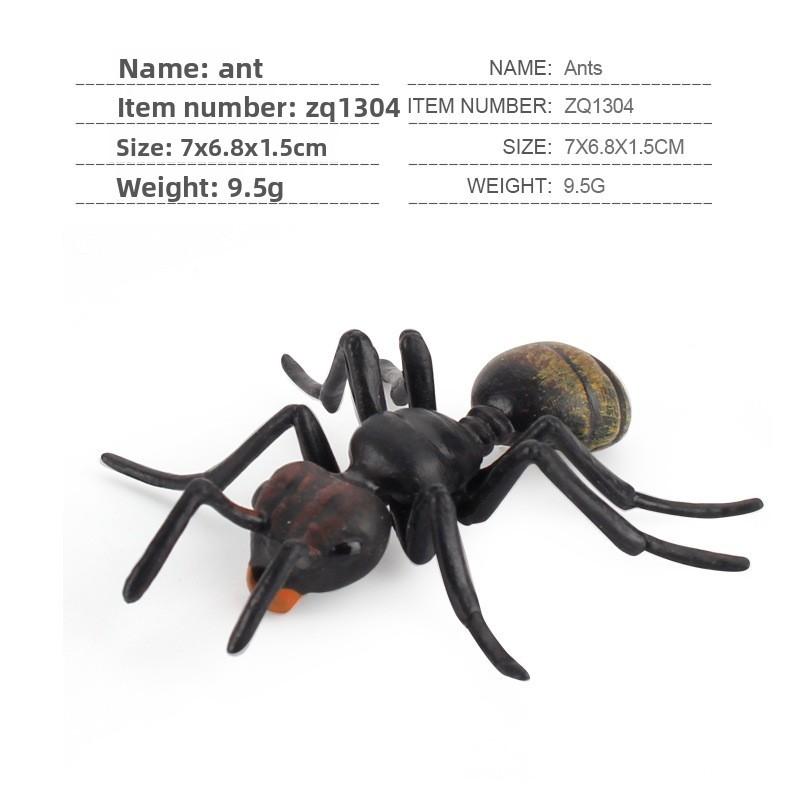 Insect Educational Toy Set With Wasps Ants Crickets Models For Kids Science Learning