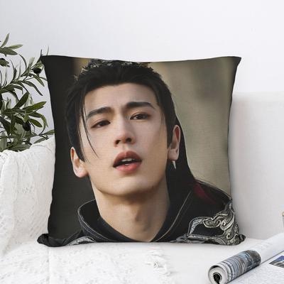 TV-Verfolgung von Jade X-Xie Zheng Z-Zhang Linghe Kissenbezug Weicher Kissenbezug für Büro Auto Heimdekor Kawaii Kissenbezüge