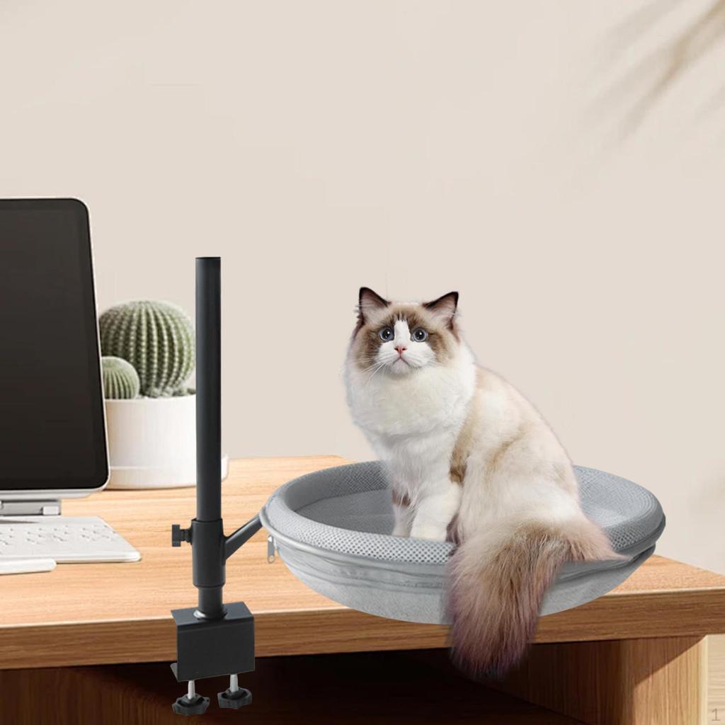 Katteseng for skrivebordsklemfeste Støtter opptil 60 lbs Hengekøye Abbor Nattbord
