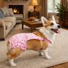 Adjustable Pet Sanitary Pants Breathable Dog Diaper Dog Pajamas Pet Physiological Pants  Large Dogs