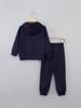 Kinder Einfarbig Langarm Kapuzenpullover und Hose Set - Herbst/Winter Freizeitkleidung