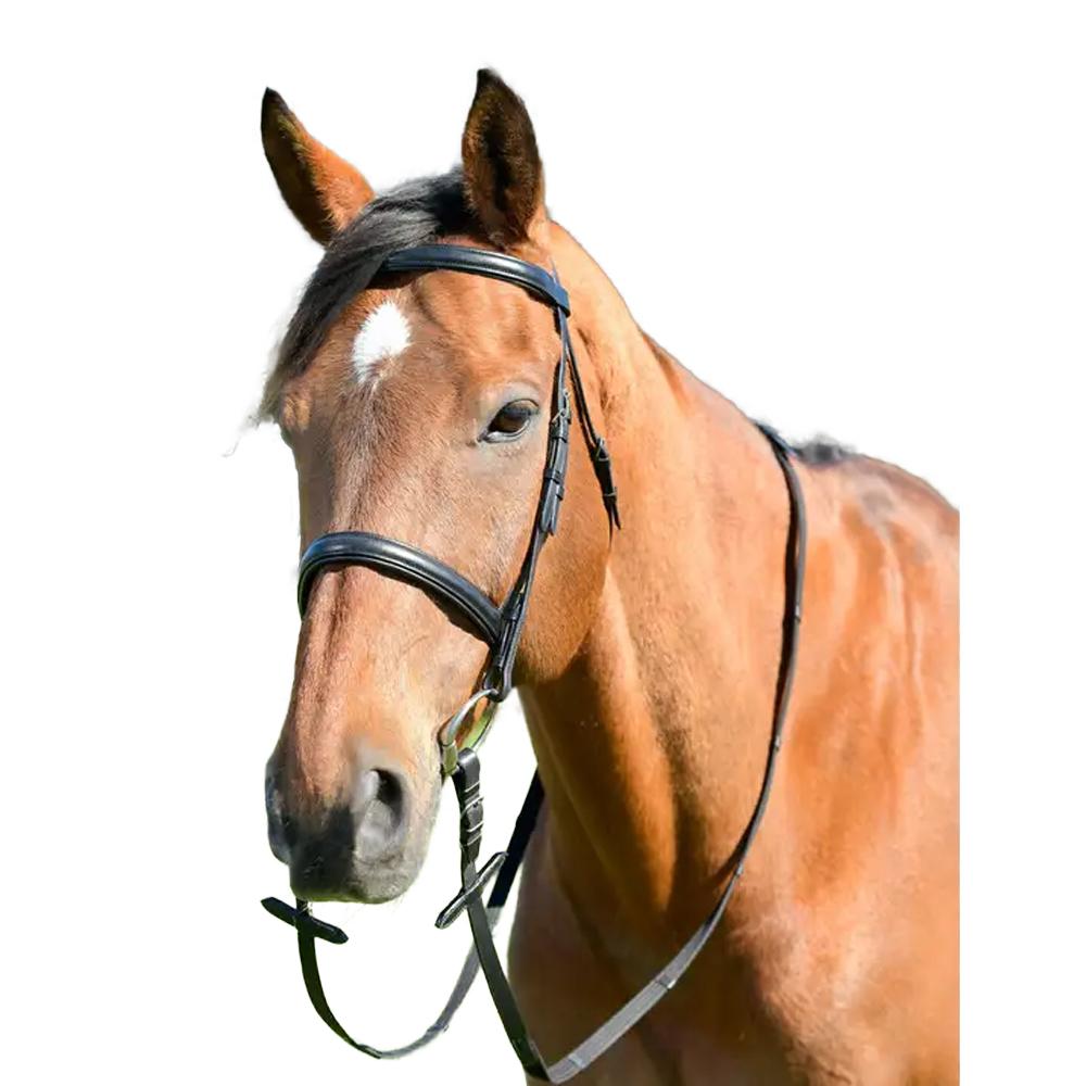 Kincade Classic Leather Horse Cavesson Bridle With Reins
