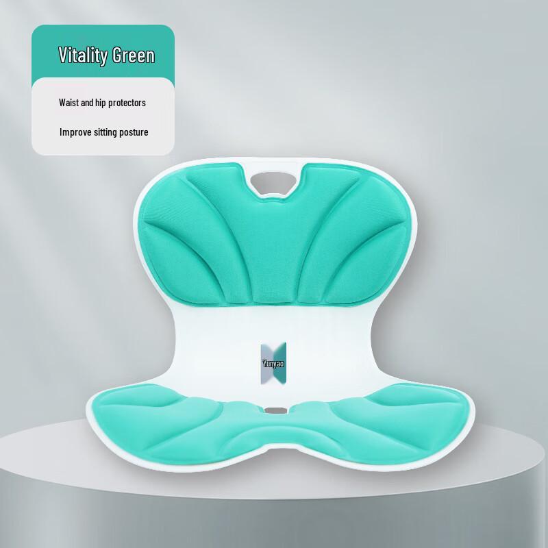 YunYao Ergonomic Lumbar Support Back Cushion CN plug (adapter included)