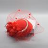 Fascinator Elegant Retro Birdcage Veil Hat Black Veil Top Hair Accessories Bridal Face Veils