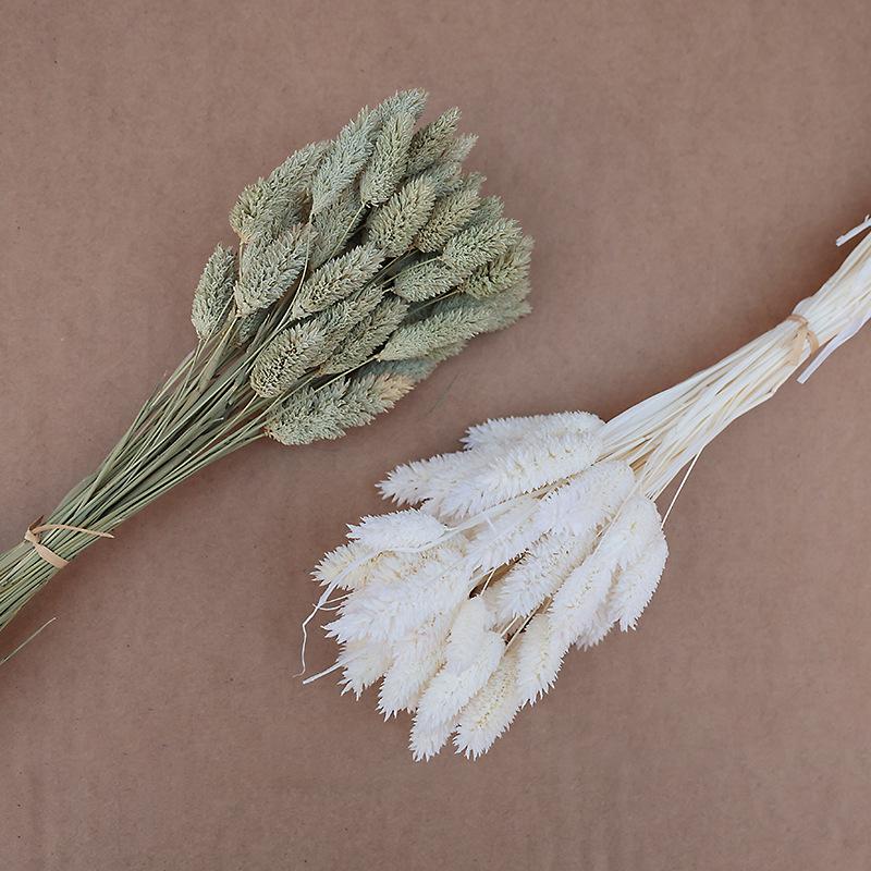 Natural Dried Statice Flower Bouquet - Everlasting Decoration for Vase & DIY Arrangements