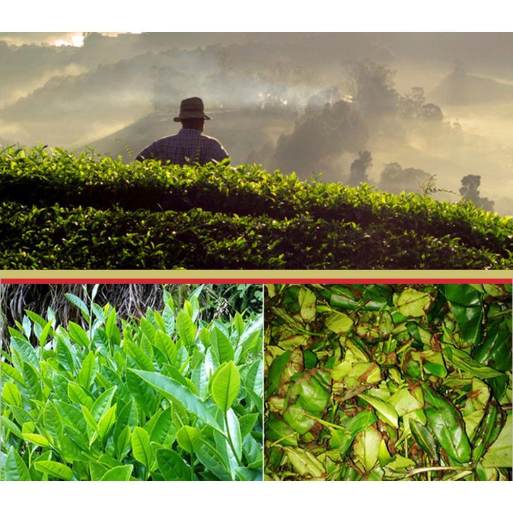 Yunnan Black Tea Dian Hong Gift Set 500g