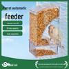 Automatic Bird Feeder & Water Dispenser