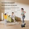 Merax Hydraulic Stepper & Elliptical Trainer CN plug (adapter included)