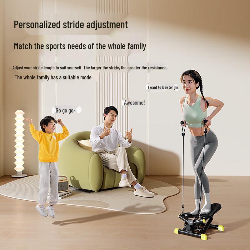 Merax Hydraulic Stepper & Elliptical Trainer CN plug (adapter included)
