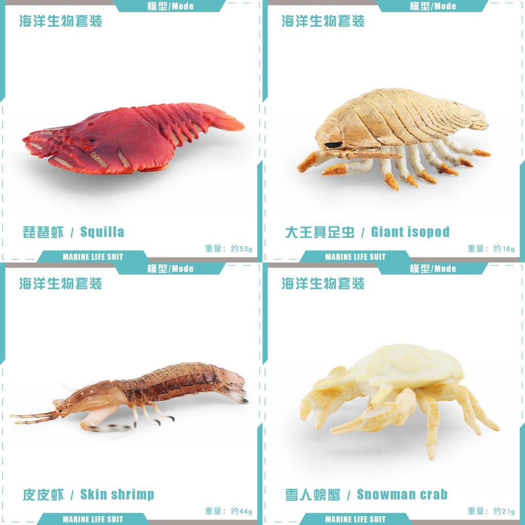Underwater Animal Pvc Pipi Shrimp And Crab Sculptures Pack With Lifelike Marine Creatures For Aquarium Display
