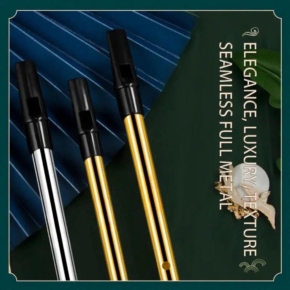 Rich Tone Irish Whistle Flute 6 Holes Irish Tin Whistle Musical Instruments  for Beginners