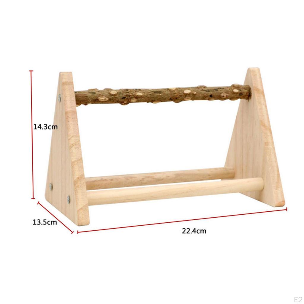 Bird Activity Center for Small Parrots - Interactive Gym Stand with Chewing Toys