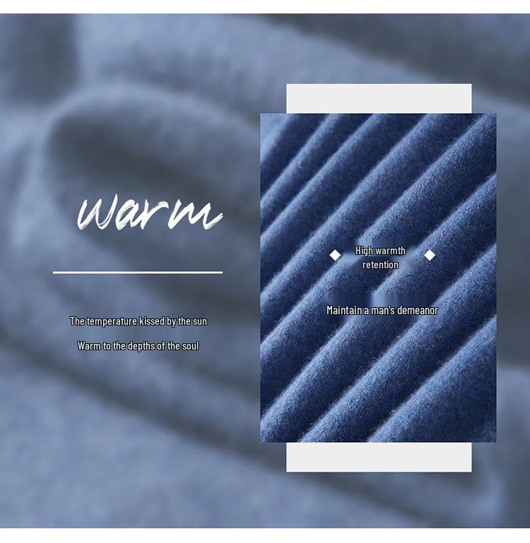 Herren Pullover aus reiner Wolle, halbhochgeschlossen, nahtlos - Herbst/Winter Strickware, Basisschicht Pullover