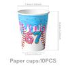 Ice Cream Baseball Girl Birthday Party Tableware Set - Plates, Cups, Flags, Tablecloth, Decorations