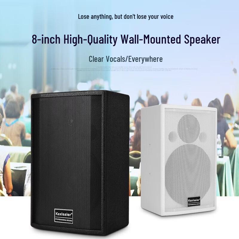 KAXISAIERS80 S80 8-inch Passive Conference Speaker CN Plug (adapter Included)