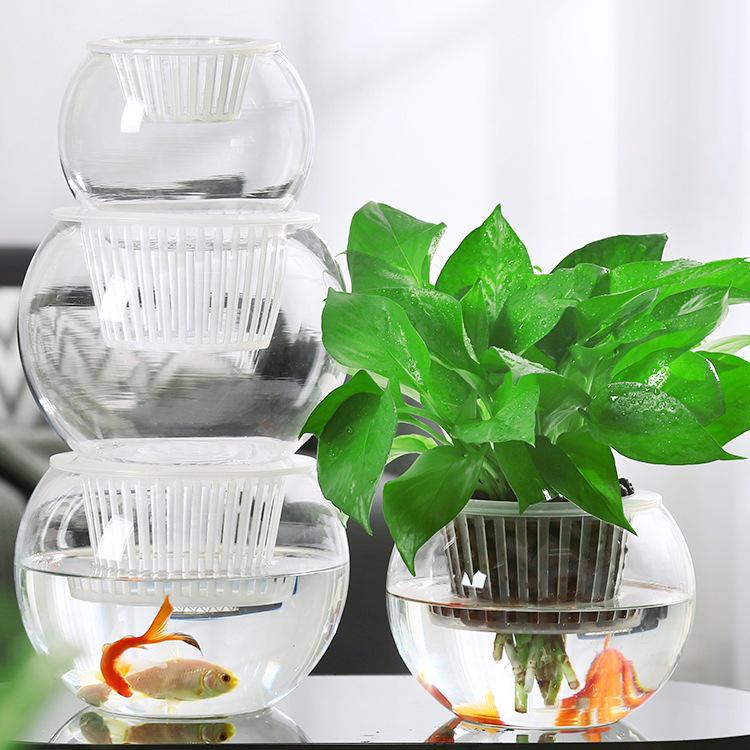 Modern Minimalist Hydroponic Glass Vase for Pothos & Green Plants - Living Room Desk Decor