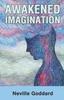 Kniha Awakened Imagination