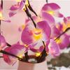 LED Simulation Phalaenopsis Tree Branch Light Home Interior Scenery Christmas Festival Decorative