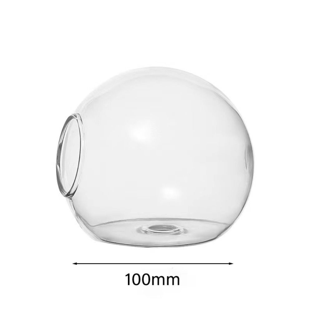 Terrarium Container Blume Flasche Sukkulente Hydrokultur Pflanze Vase