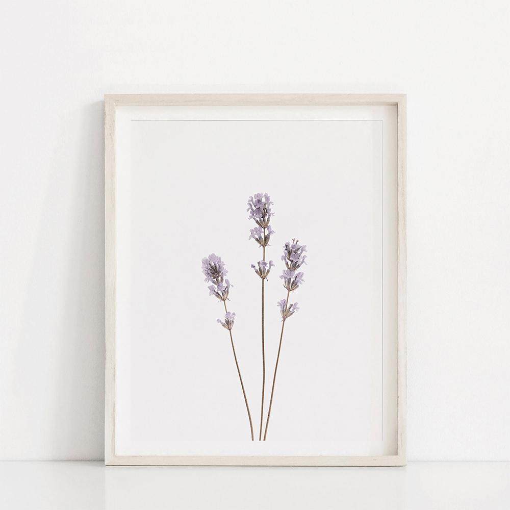 Nordic Style Lavender Botanical Posters Botanical Canvas Painting Farmhouse Wall Art Pictures for Living Room Home Decoration