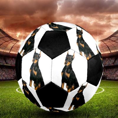 Cute Puppy Indoor Size 5 Soccer Ball Colorful Machine Stitched PVC Competition Ready Durable High-Bounce