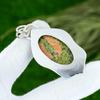 Natural Unakite Gemstone Pendant 925 Sterling Silver Indian Jewelry For Girls