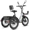 Bicicleta Eléctrica Fafrees F20 Mate Motor de 250W Frenos de Disco Doble Neumático de Aire 20"x2.5" Plegable E-Bike de Carga Pantalla LCD 48V 21Ah Carga Máxima 180Kg