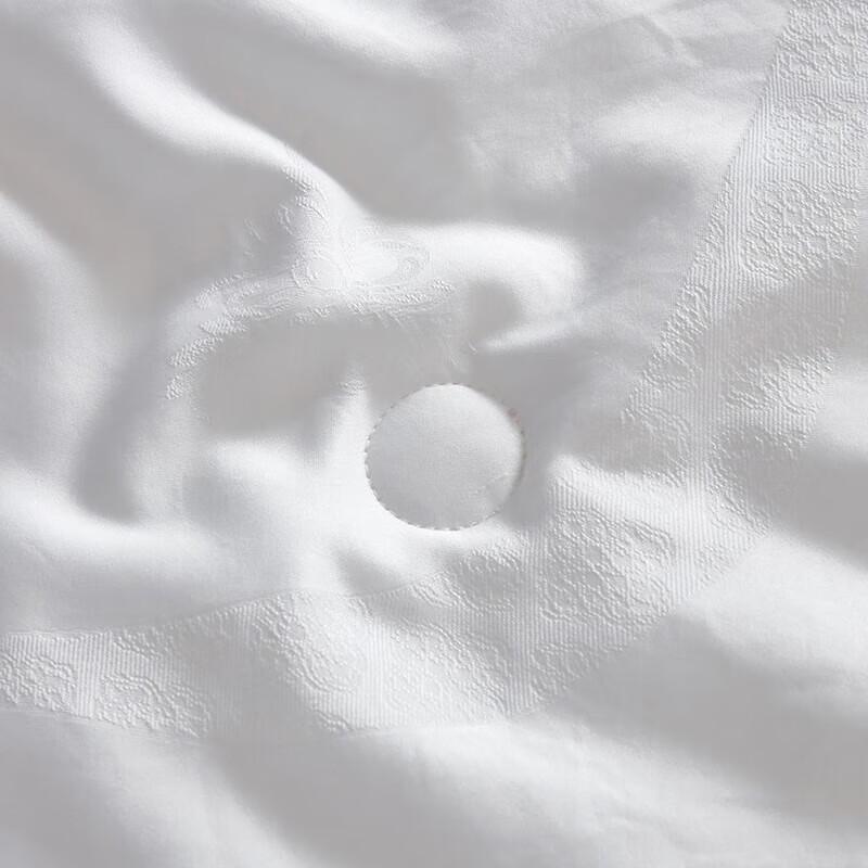 Mendale All-Season Double Tussah Silk Quilt