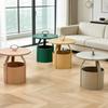 Nordic Circular Side Table-Multifunctional & Detachable Plastic Craftsmanship with Storage,Ideal for Small Spaces in Living Room