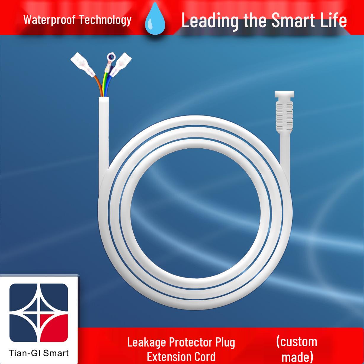 

European Standard Anti-Leakage Protector Plug for Small Appliances