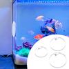 Fish Tank Accessories Betta Training Mirror Acrylic Circle Design for Behavioral Enrichment Aquarium Equipment