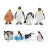 TOYMANY 12PCS Penguin Figure Antarctic Animal Figure Set Antarctic Circle Realistic Animal Model Popular Animal Toy Birthday Gift Decoration