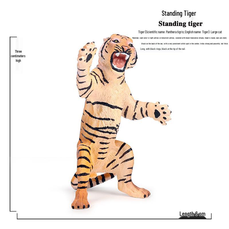 Siberian, Male, African, and White Tiger Cognitive Toy Set for Kids.