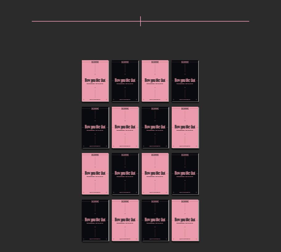 BLACKPINK - How You Like That (Special Edition)