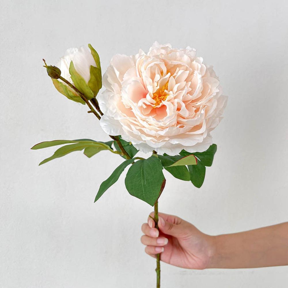 

2 Голови Півонія Реалістичні Квіти Багатоколірні Імітаційні Рослини Яскрава Штучна Квітка Півонія Подарунок B