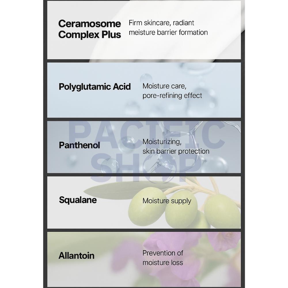 VT COSMETICS PDRN Essenz 100 (30ml x 2 Stück + Reedle Shot 100 10ml)