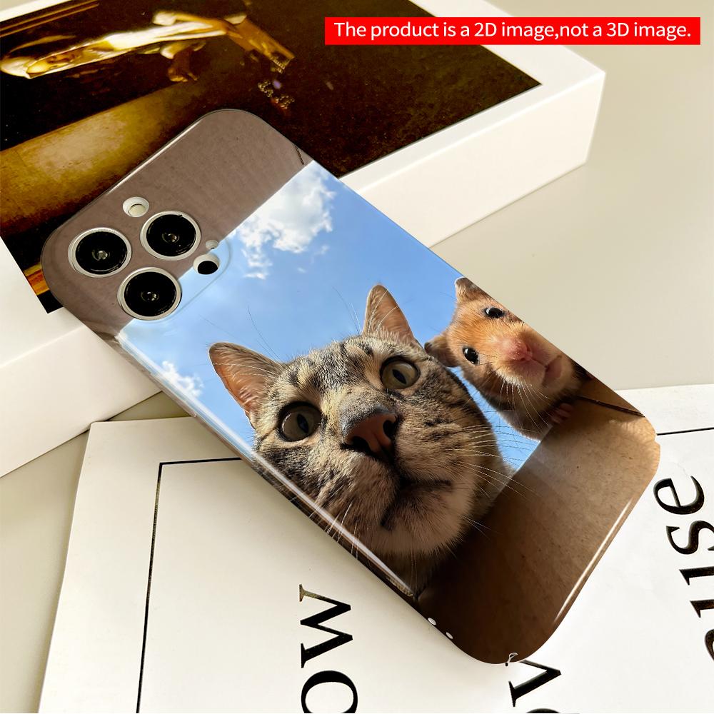 Cat and Hamster in Cardboard Box Sky View All inclusive film hard phone case, compatible with iPhone 18 Pro Max 17 16 15 14 13 12 11