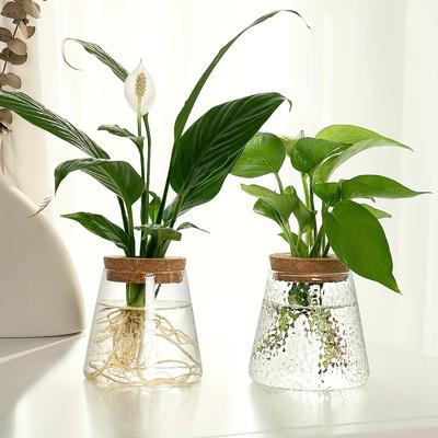 1 Stück, Glas Pflanzgefäß Vermehrungsstation Vase Ständer Tischplatte Hydroponische Pflanzen Stecklinge Büro Heimdekoration