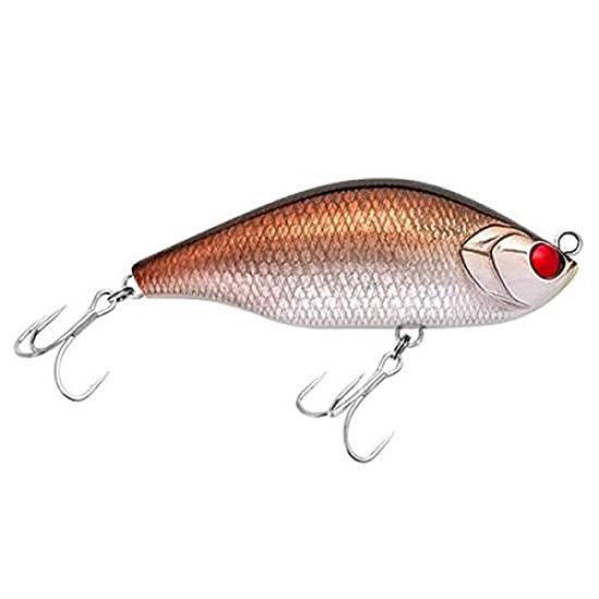 

Rapala North Craft Air Ogle 12cm 64g AOG120SLM for Konoshiro #SPM