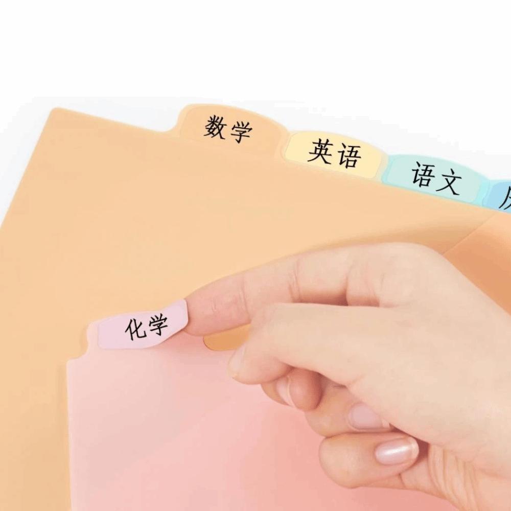 8 pcs A4 Pastel Binder Dividers 3-Ring Binder 8-Tab Dividers Plastic File Folders Single Pocket Single Pocket Dividers School